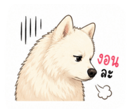 862590445
