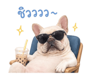 862593033