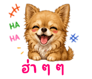 862599267