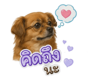 862600869