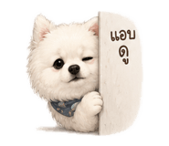 862601137