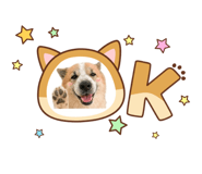 862601386