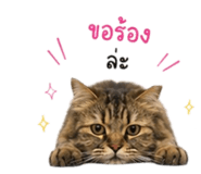 862606245