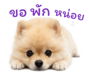 862606406