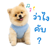 862606418