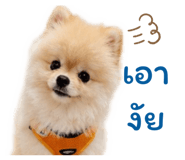 862606432