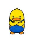 862621306