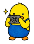 862621328