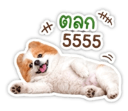 862640322