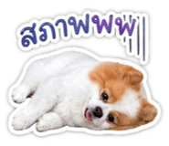 862640324