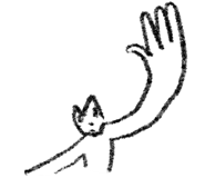 862640534