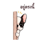 862643525