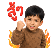 862645008