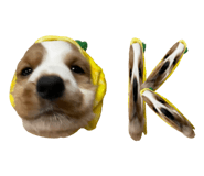 862647921