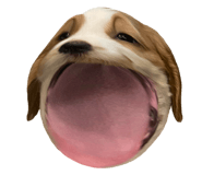 862647924