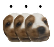 862647925