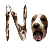 862647939