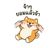 862648082