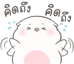 เจ้าหมูน้อยจ้ำม่ำ มีแฟน 2