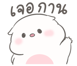 เจ้าหมูน้อยจ้ำม่ำ มีแฟน 27