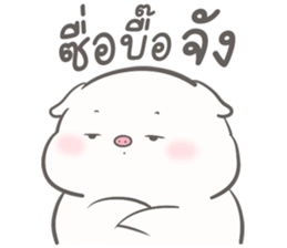 เจ้าหมูน้อยจ้ำม่ำ มีแฟน 33