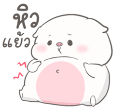 เจ้าหมูน้อยจ้ำม่ำ มีแฟน 35