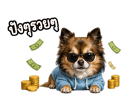 862650499