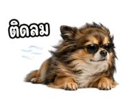 862650534