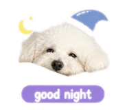 862656469
