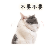 862657524