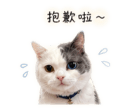 862657530