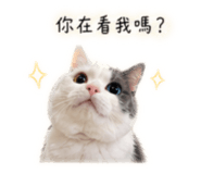862657536