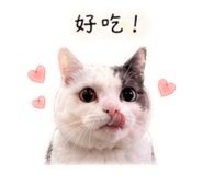 862657551