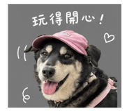 862657974