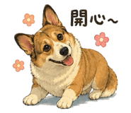 862658494