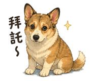 862658497
