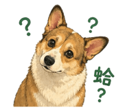 862658504