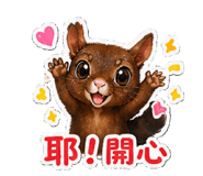 862663381