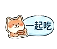 862663993