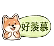 862663995