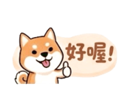 862664020