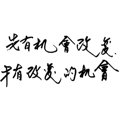 862664716