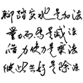 862664741