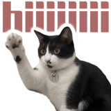 862665477