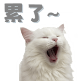 862665482