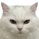 862665498