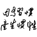 862666577