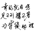 862666584