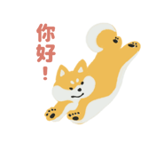 862666641