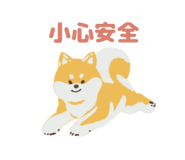 862666646